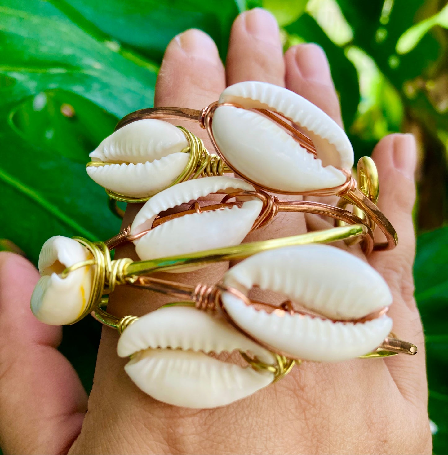 Cowrie Shell Bangles