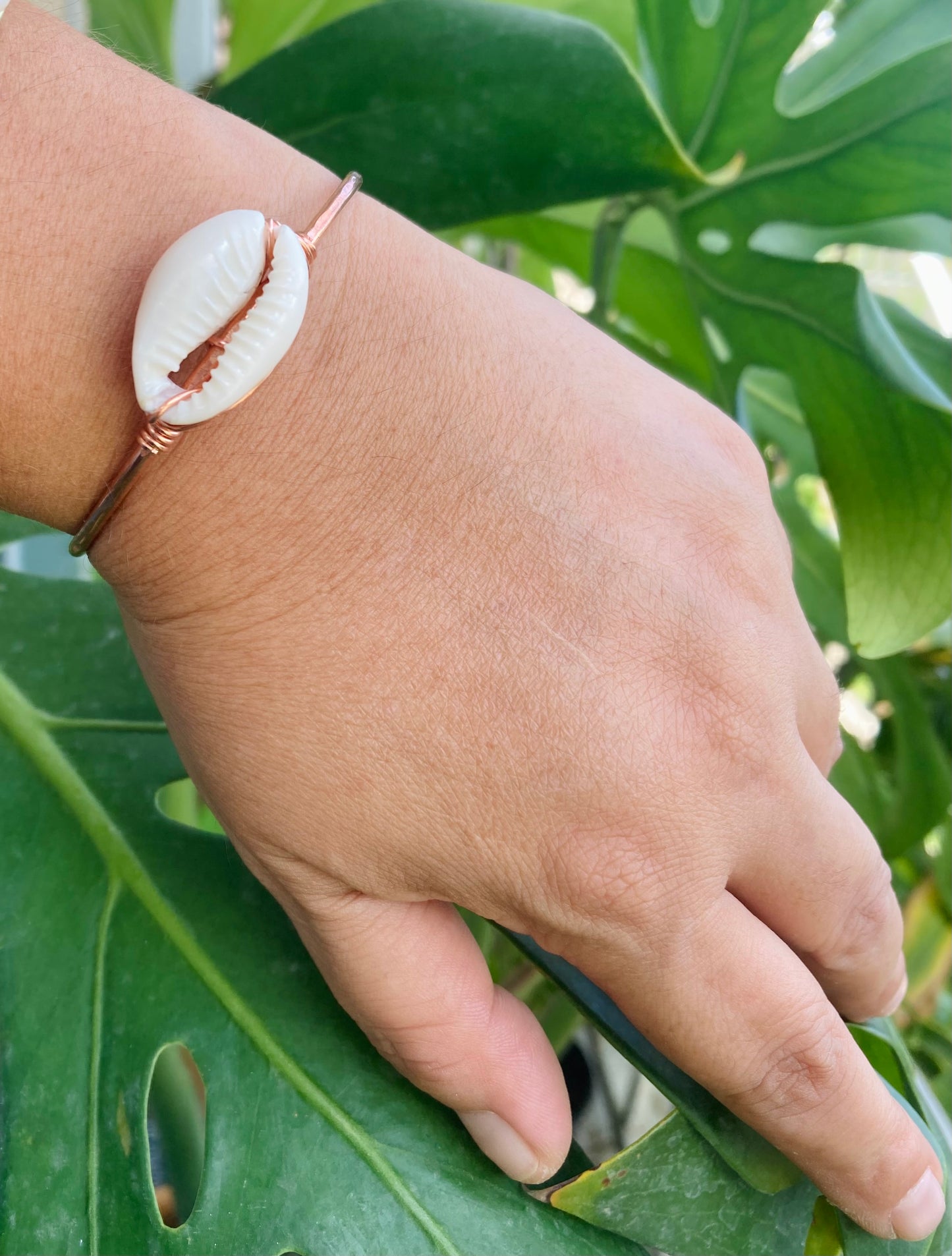 Cowrie Shell Bangles