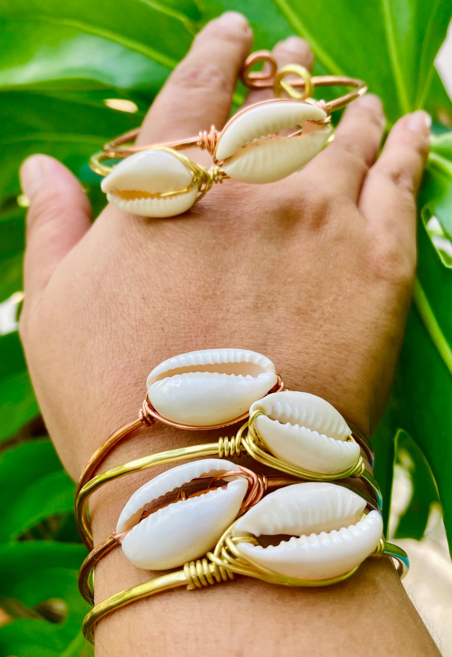 Cowrie Shell Bangles