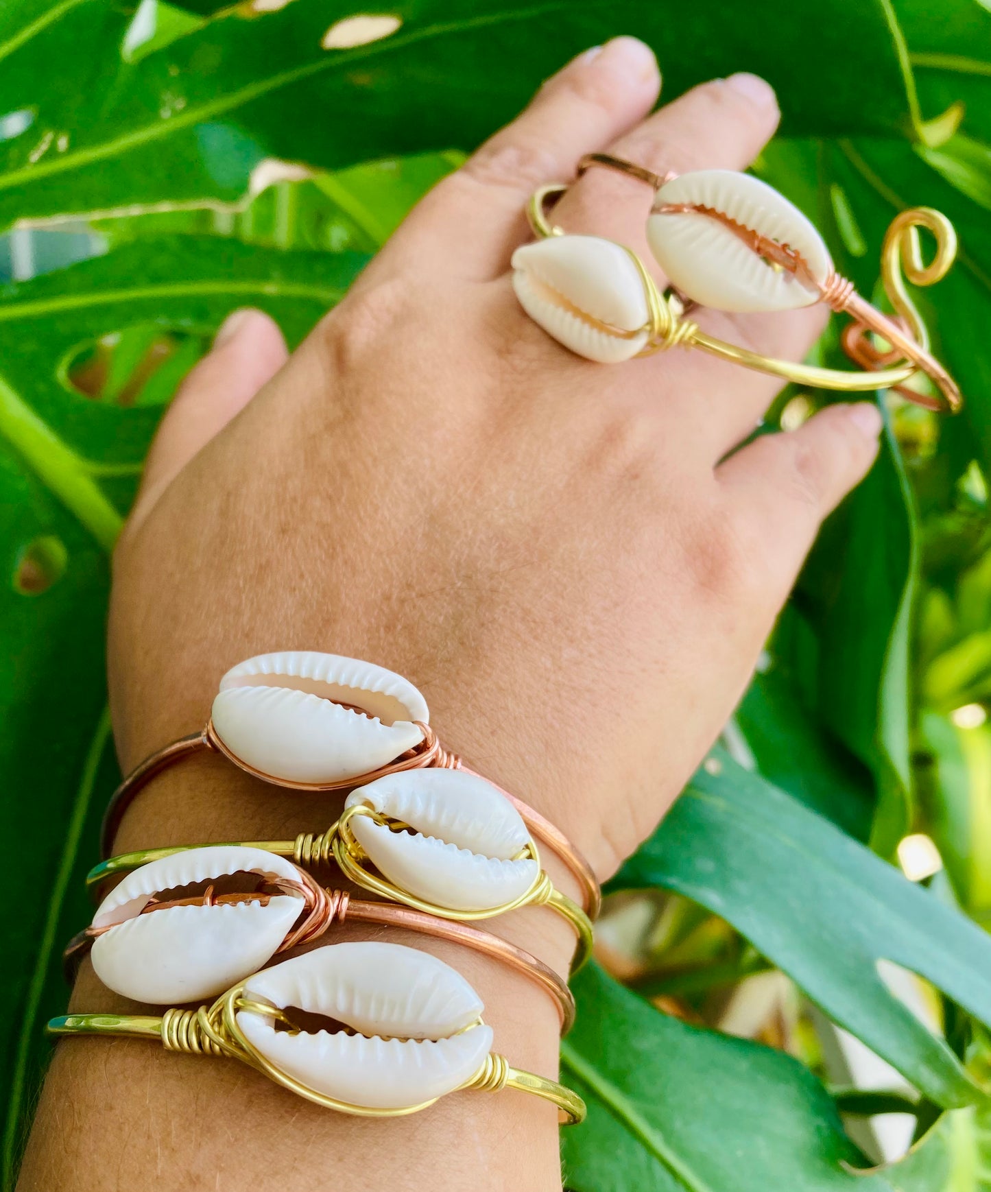 Cowrie Shell Bangles