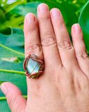 Labradorite Green Portal Adjustable Copper Ring