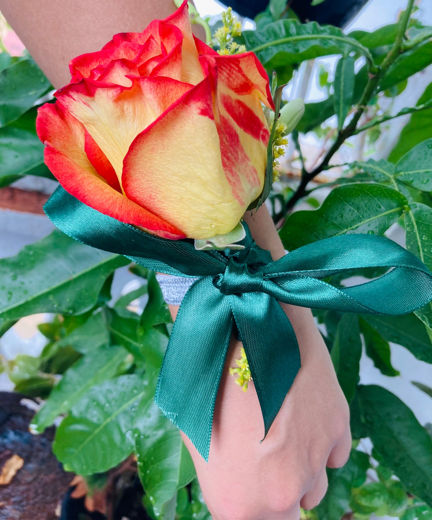 Rose Orchid Corsages