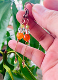 Citrus Mini Drips