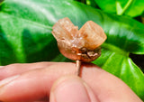 Aragonite Size 7.5