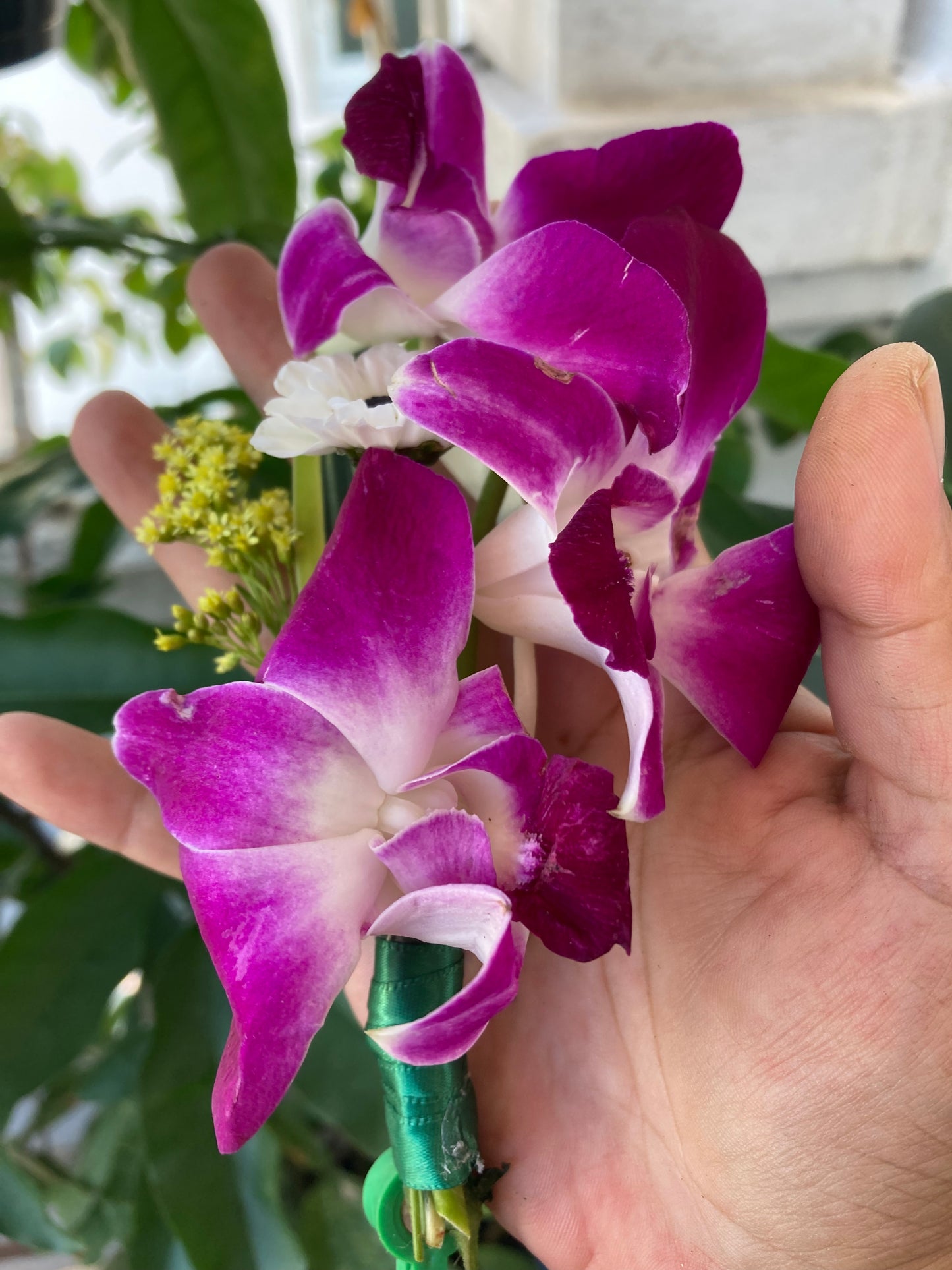 Tropical Boutonnières