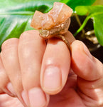 Aragonite Size 7.5